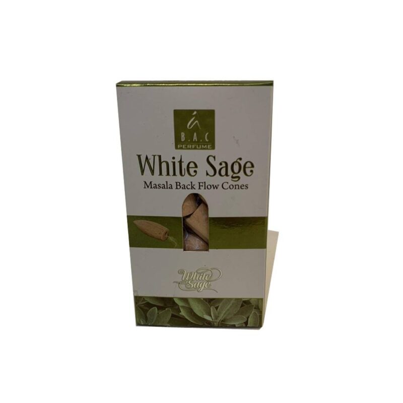 Sauge blanche - Cones de reflux Balaji (10X)