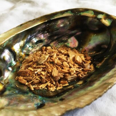 Palo Santo Suprême - Encens en grains de 10g